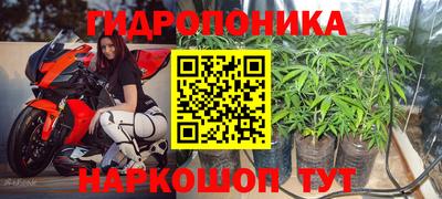 круглые Лесосибирск