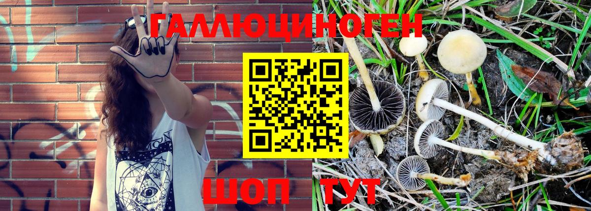 Ирбит  Псилоцибиновые грибы Magic Shrooms  Вход с VPN 