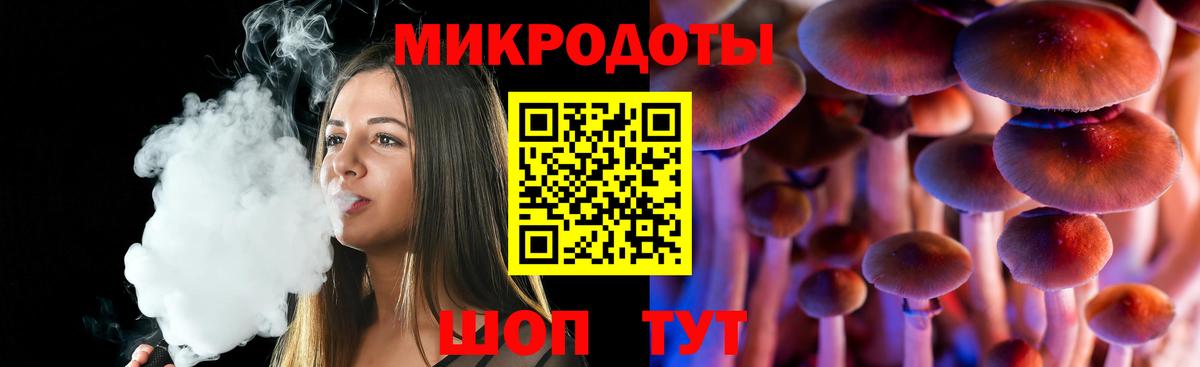 Галлюциногенные грибы Psilocybe Ирбит